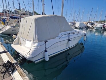 Sea Ray 290 Sundancer