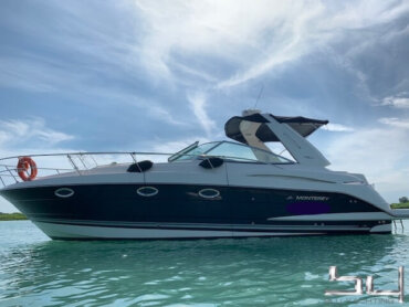 Motorboot Monterey 355 SY