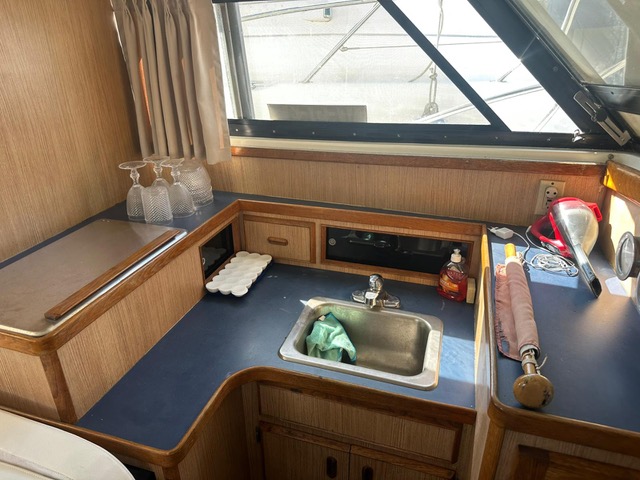 Motorboot Bertram 28 Cruiser