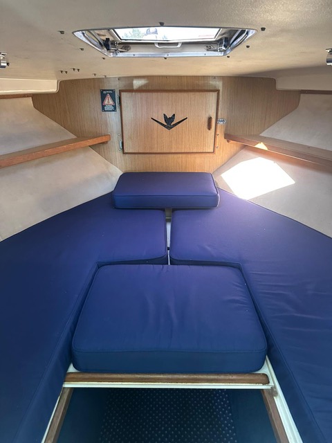 Motorboot Bertram 28 Cruiser