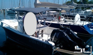 Motorboot White Shark 246