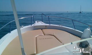 Motorboot White Shark 246