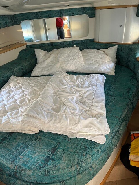 Motorboot Sealine 330 Fly