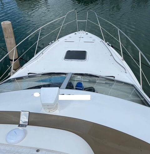 Motorboot Sealine 330 Fly