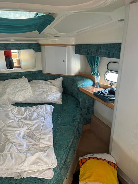Motorboot Sealine 330 Fly