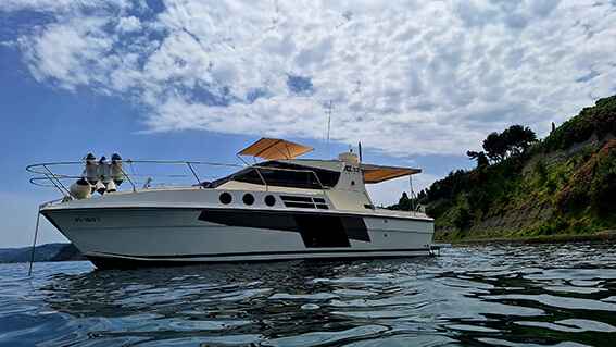 Motorboot Azimut 32 Targa