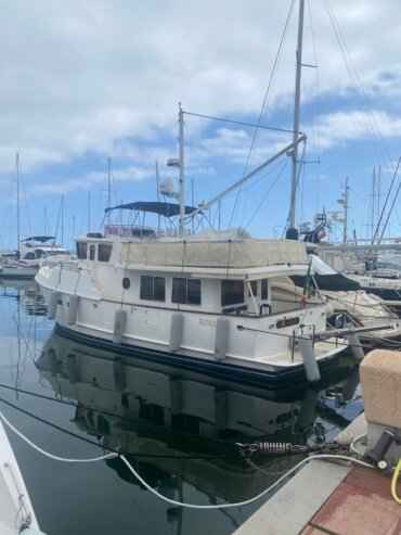 Motorboot Selene 47 Ocean