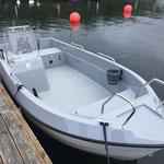 Motorboot Ryds 486 Big Fish