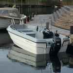 Motorboot Ryds 486 Big Fish