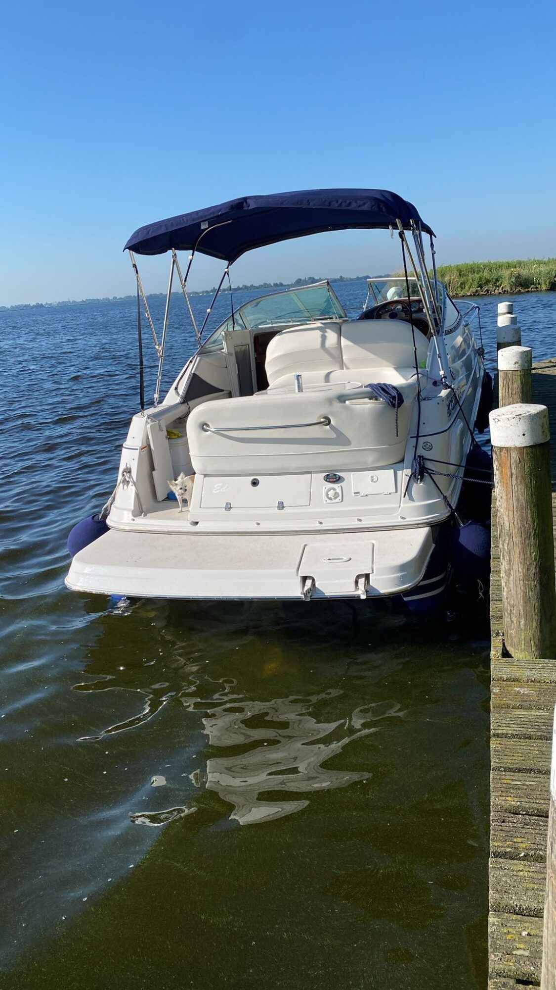 Motorboot Four Winns 248 Vista
