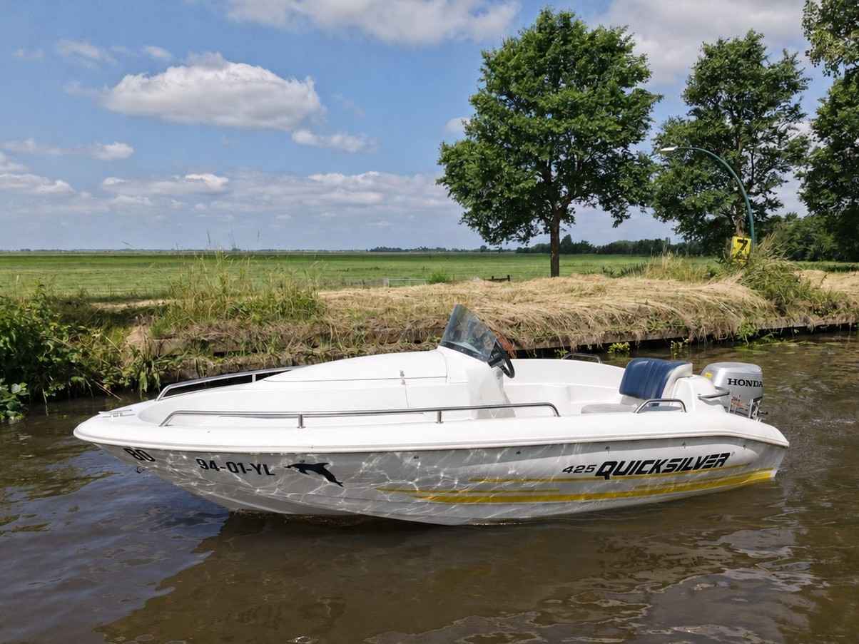 Motorboot Quicksilver 425 Open