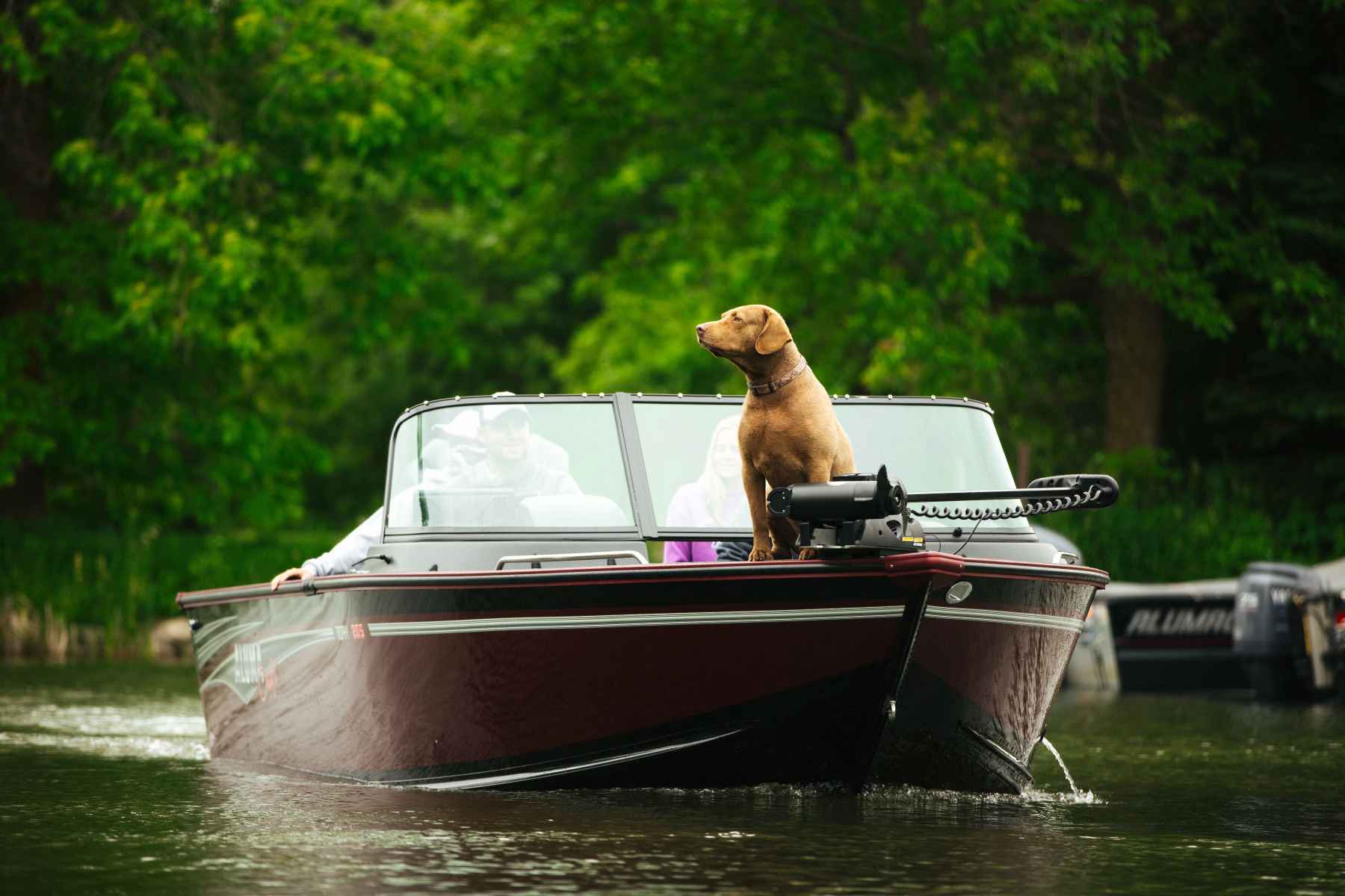 Motorboot AlumaCraft Trophy 205 Sport