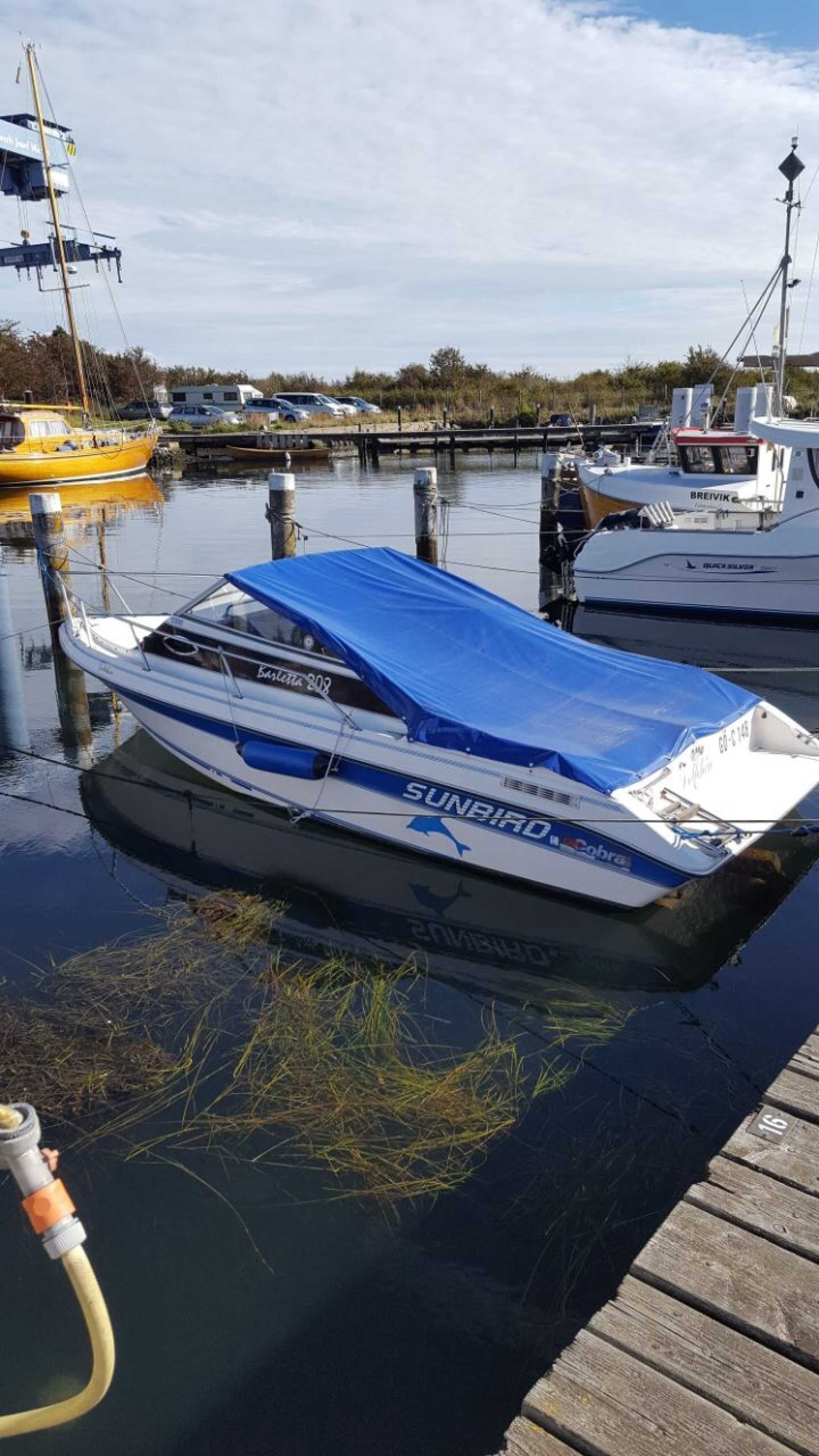 Motorboot Sunbird Barletta 208