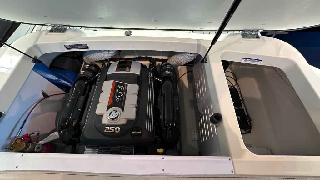Motorboot Sea Ray SPXE 190 (Lagerboot) *RESERVIERT*