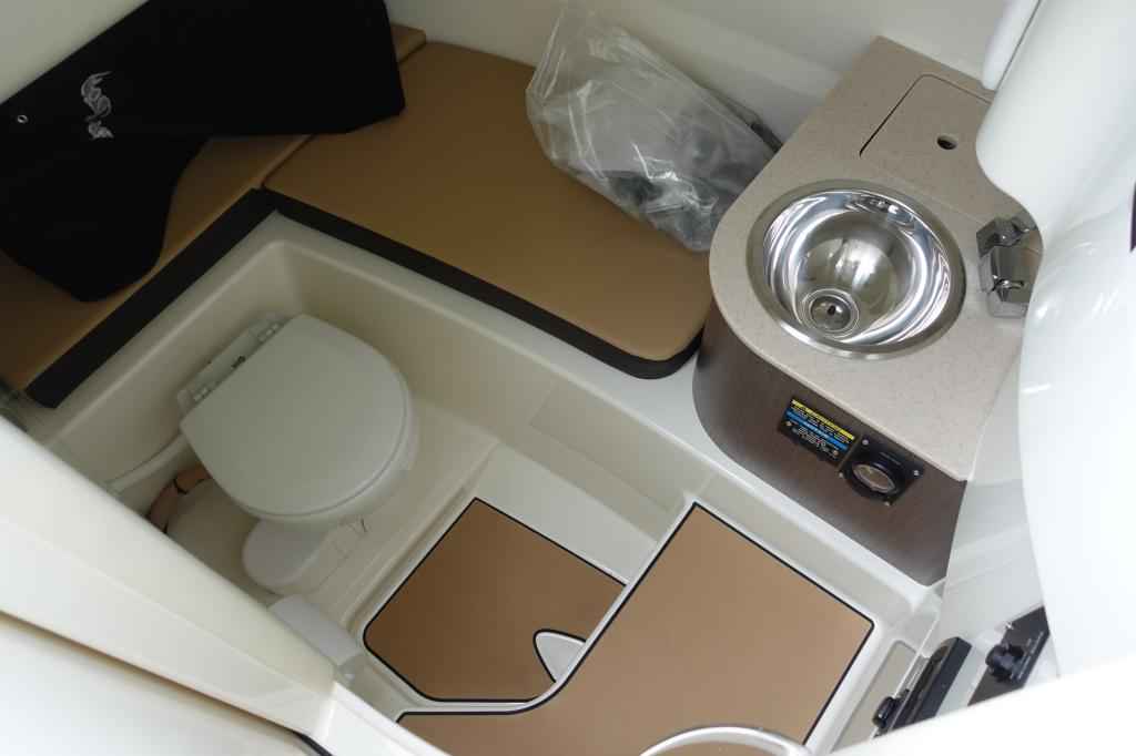 Motorboot Sea Ray SDX250E & Trailer mit LIEGEPLATZ (Lagerboot)
