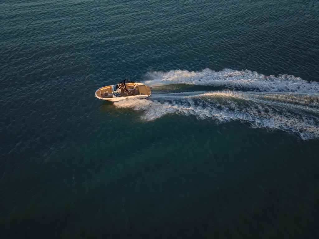 Motorboot Sea Ray SDX270E & Trailer mit LIEGEPLATZ (NEU auf Bestellung)