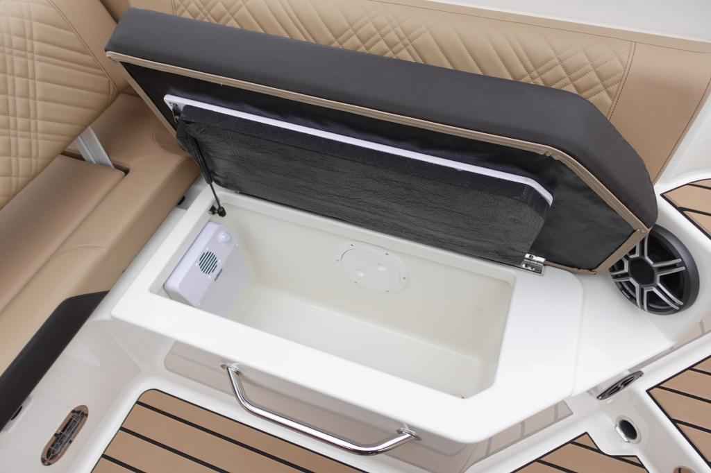 Motorboot Sea Ray SDX 270 SURF EU & Trailer mit LIEGEPLATZ (Vorführboot)