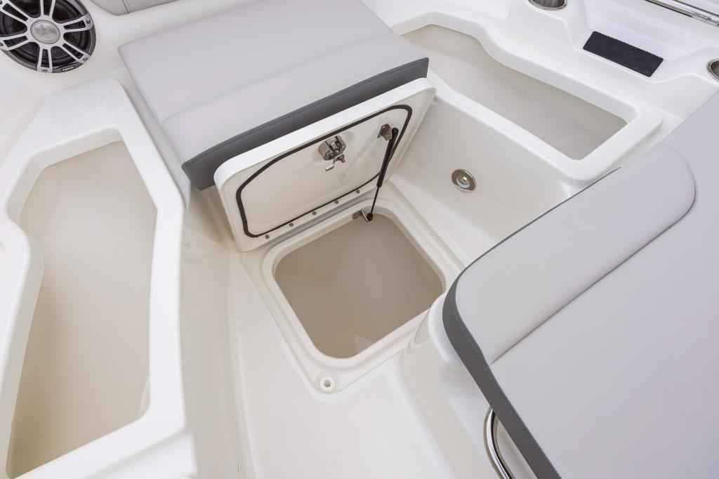 Motorboot Sea Ray SDX250E OUTBOARD & Trailer (NEU im Vorlauf)