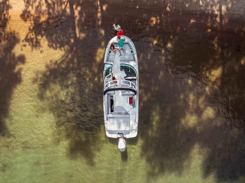 Motorboot Sea Ray SDX250E OUTBOARD & Trailer (NEU im Vorlauf)