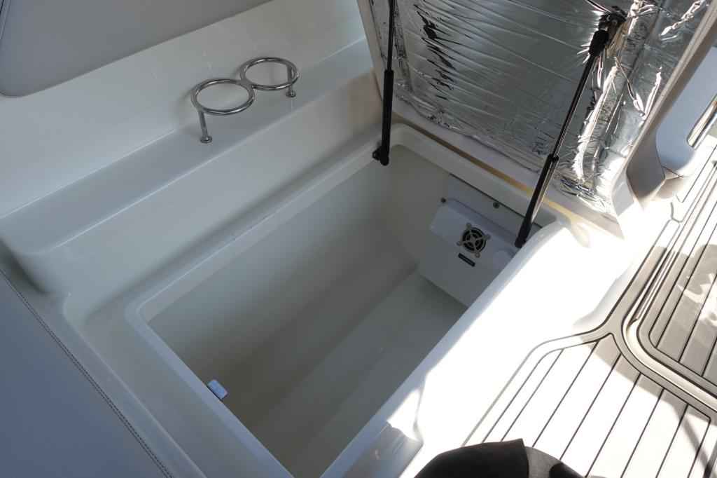 Motorboot Sea Ray SPXE 210 & Trailer (1. Hand)