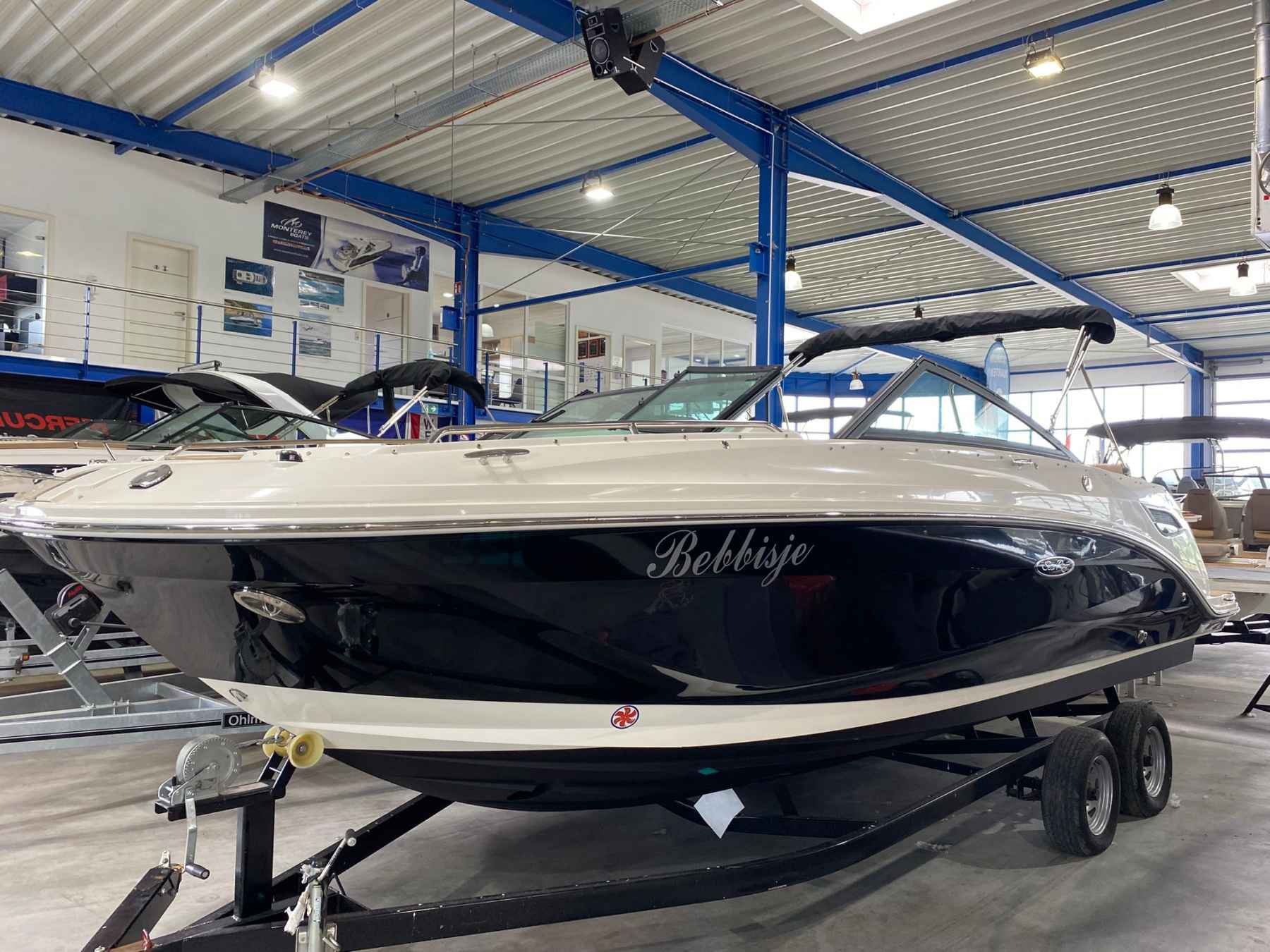 Motorboot SeaRay 250 SDX
