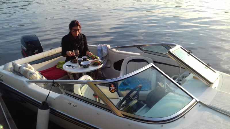 Motorboot Astromar LS-470