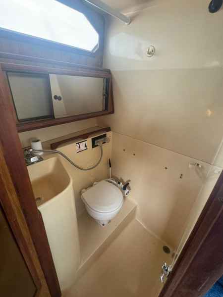 Motorboot Sea Ray 300 Express Cruiser