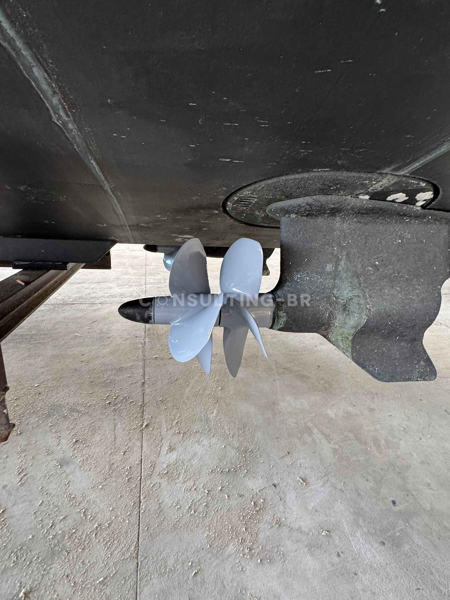 Motorboot Rodman Muse 44