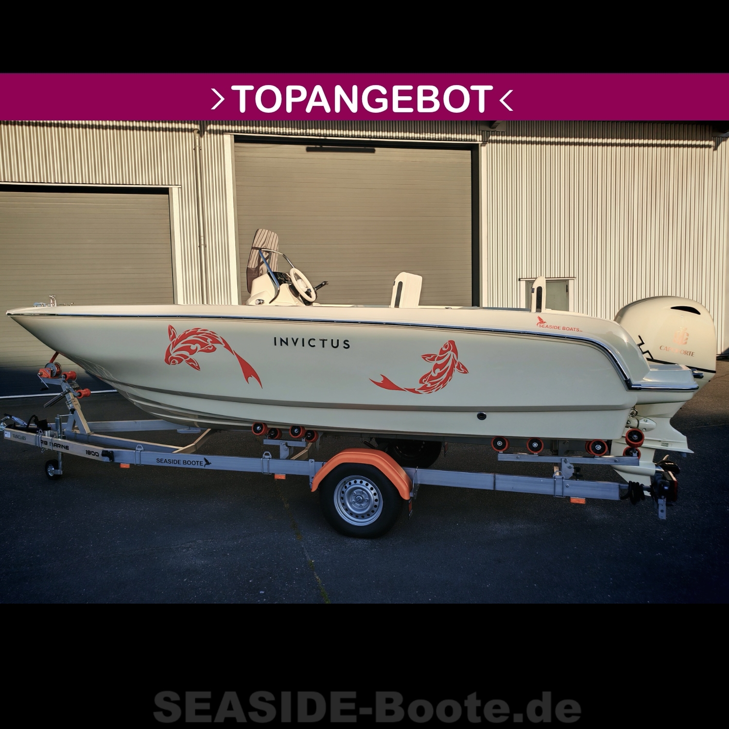 Motorboot INVICTUS Capoforte FX190