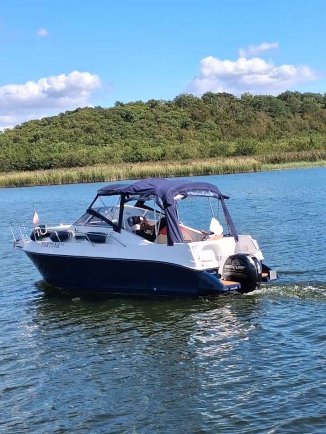 Motorboot Drago Fiesta 22