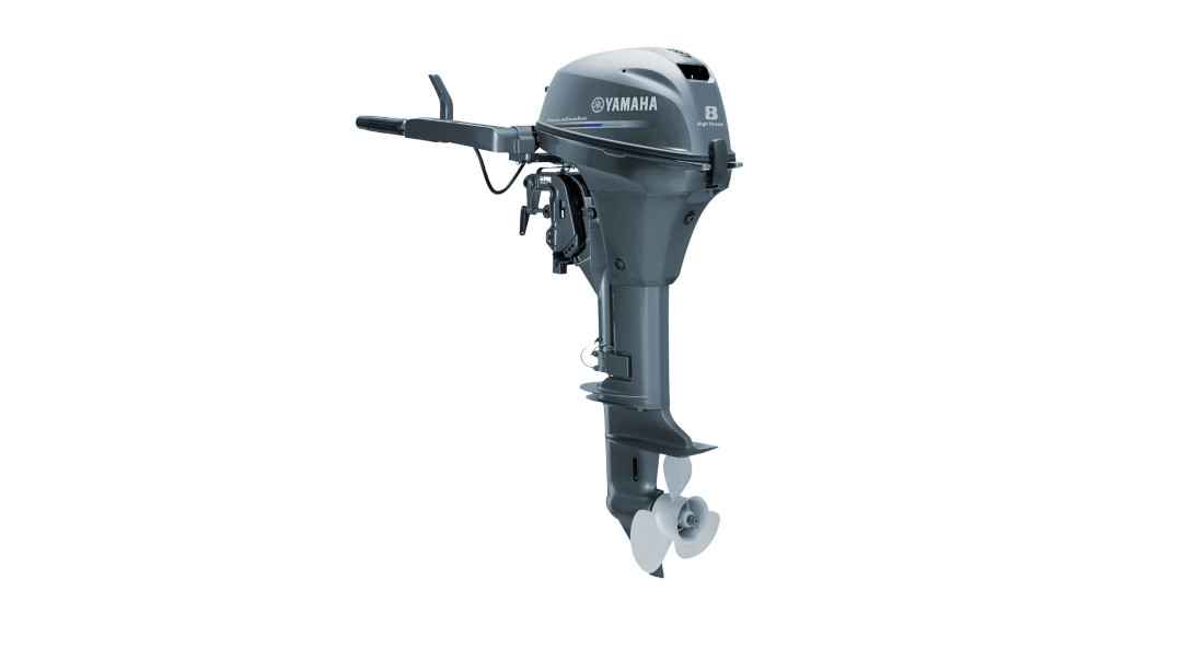 Motorboot Mercury F15 ELPT EFI