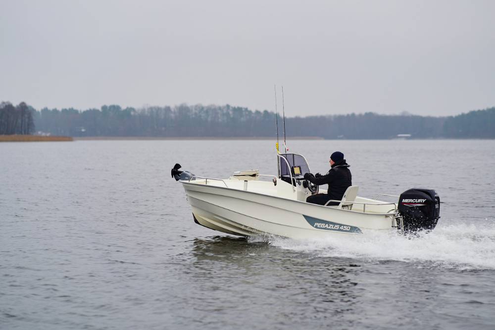 Motorboot Berliner Bootschaft Pegazus 450