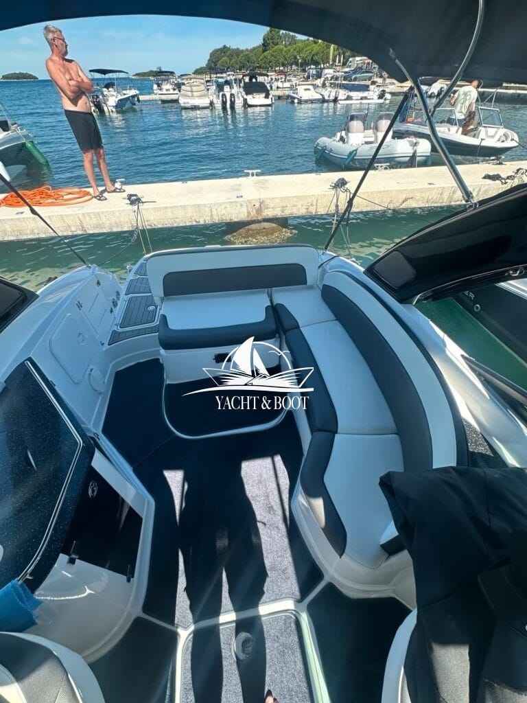 Motorboot Viper 263