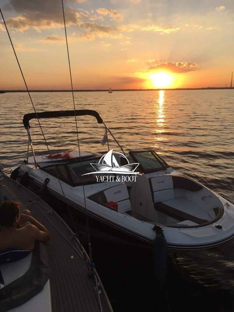 Motorboot Sea Ray 19 SPXE