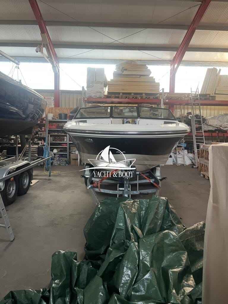 Motorboot Sea Ray 19 SPXE