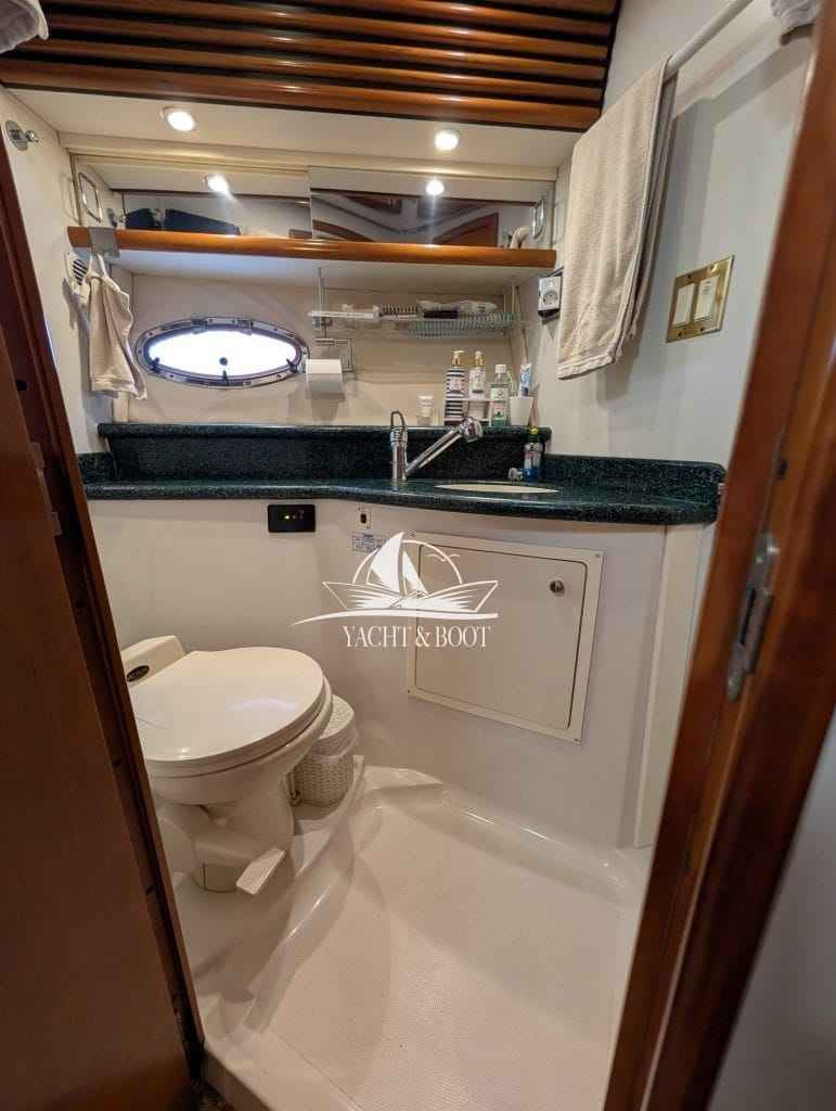 Motorboot Carver 450 Voyager Pilothouse