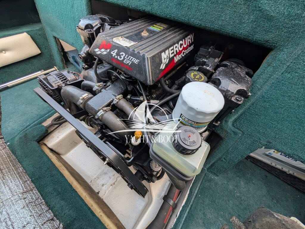 Motorboot Sea Ray 190