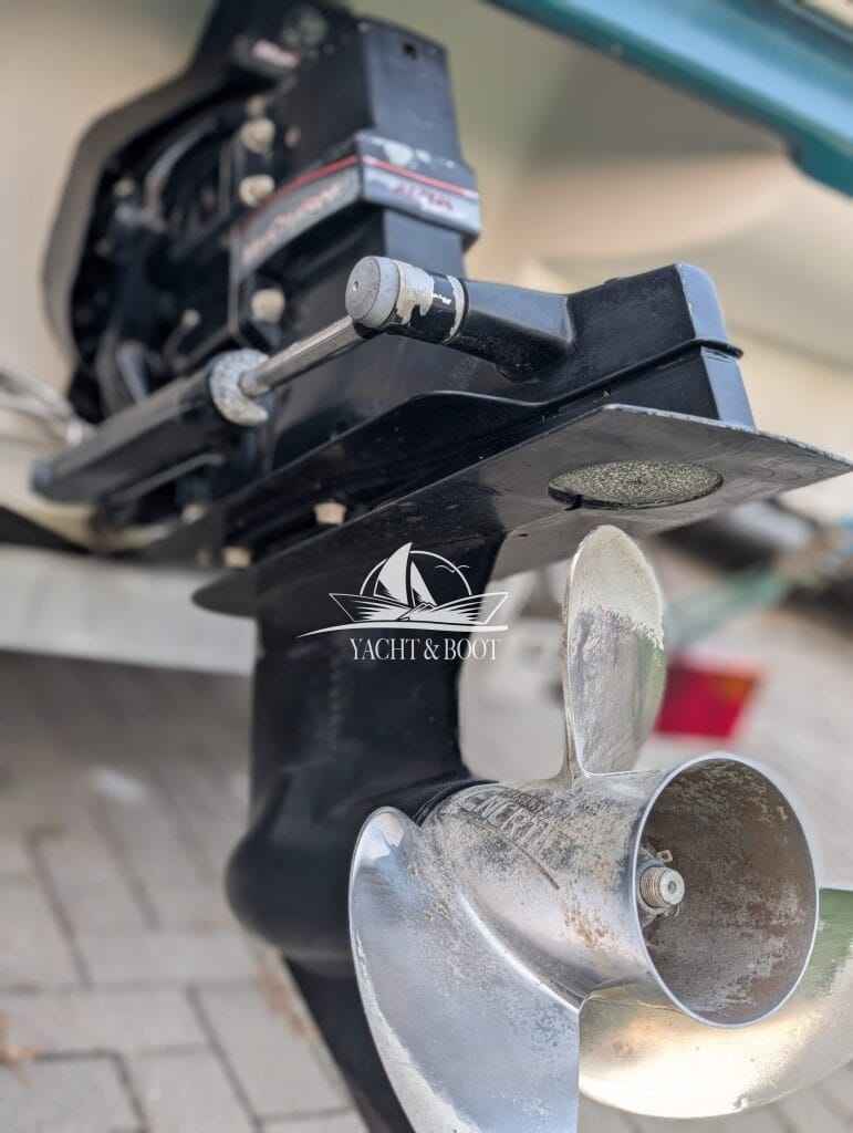 Motorboot Sea Ray 190