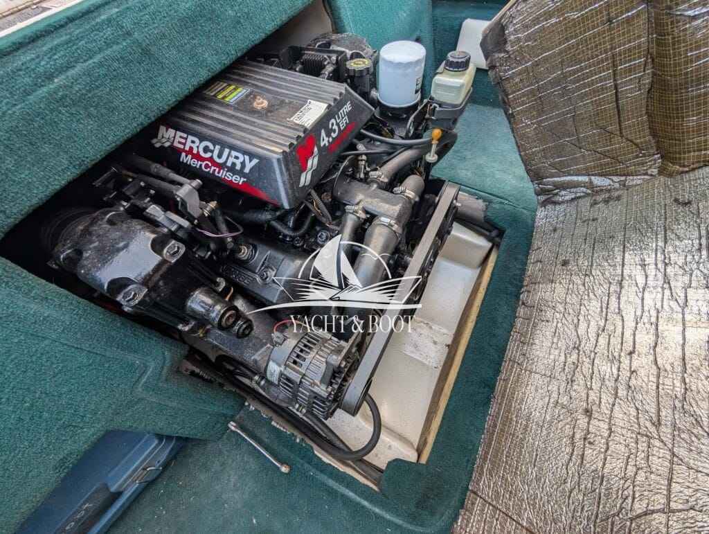 Motorboot Sea Ray 190