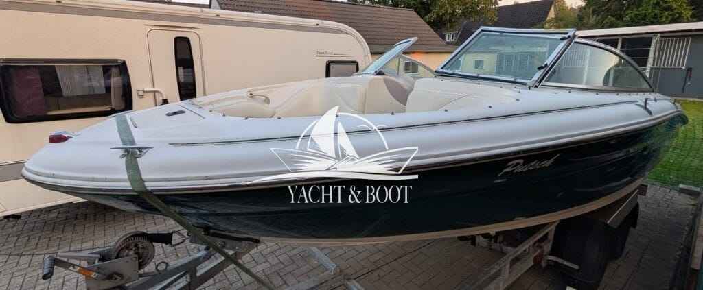 Motorboot Sea Ray 190