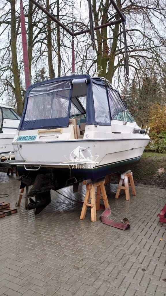 Motorboot Sea Ray 250 DA