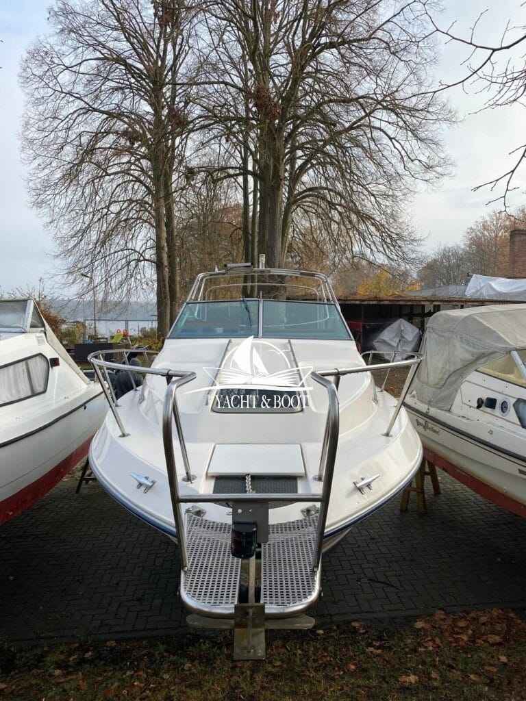 Motorboot Sea Ray 250 DA
