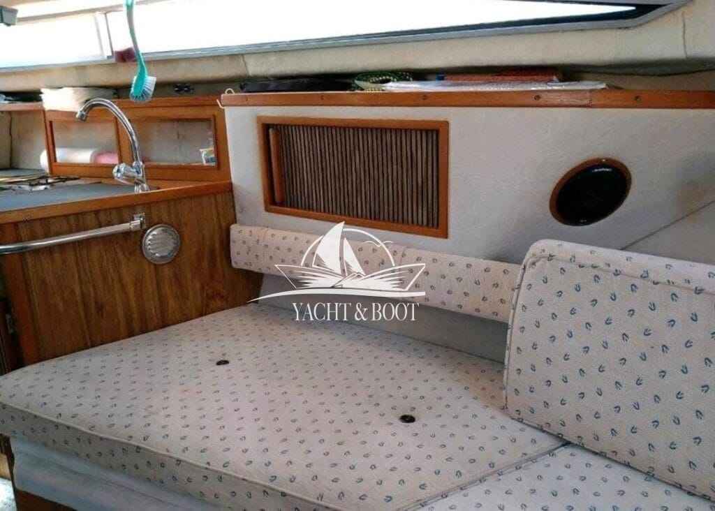 Motorboot Sea Ray 250 DA