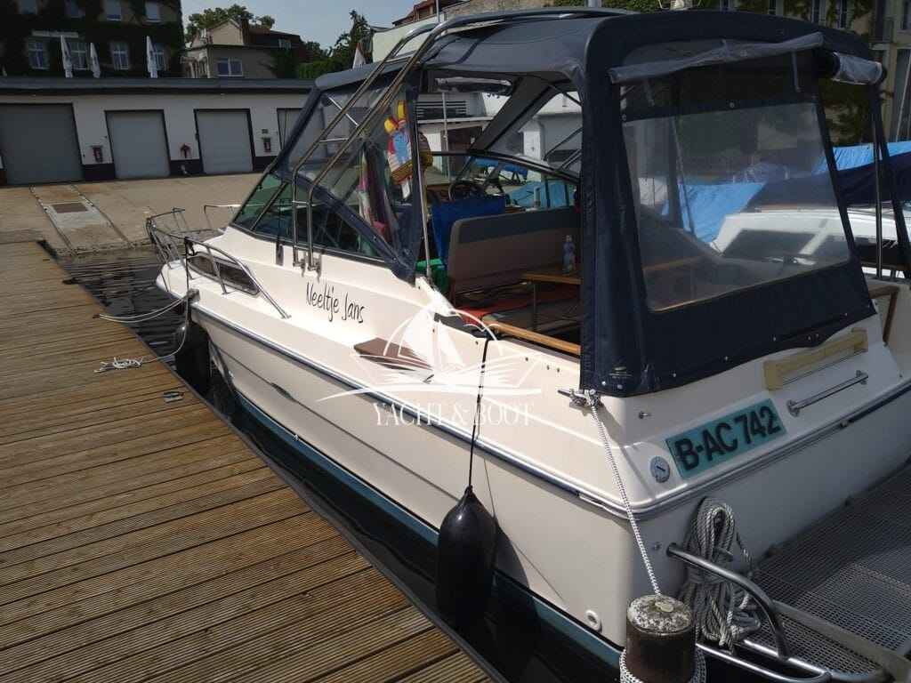 Motorboot Sea Ray 250 DA