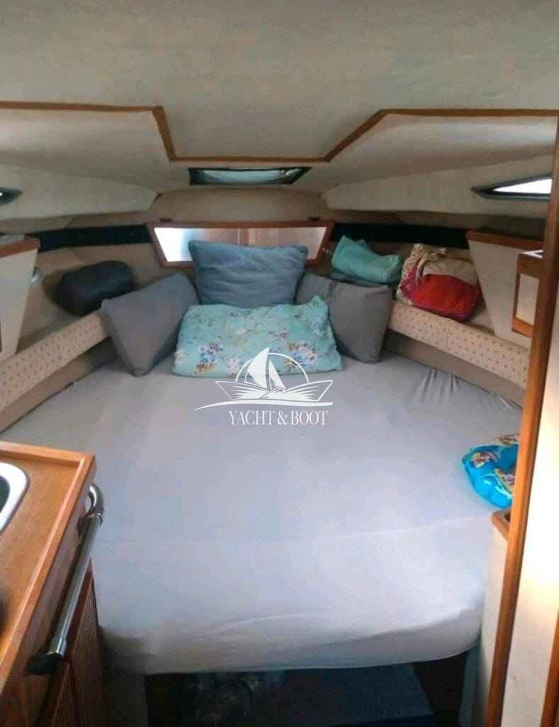 Motorboot Sea Ray 250 DA