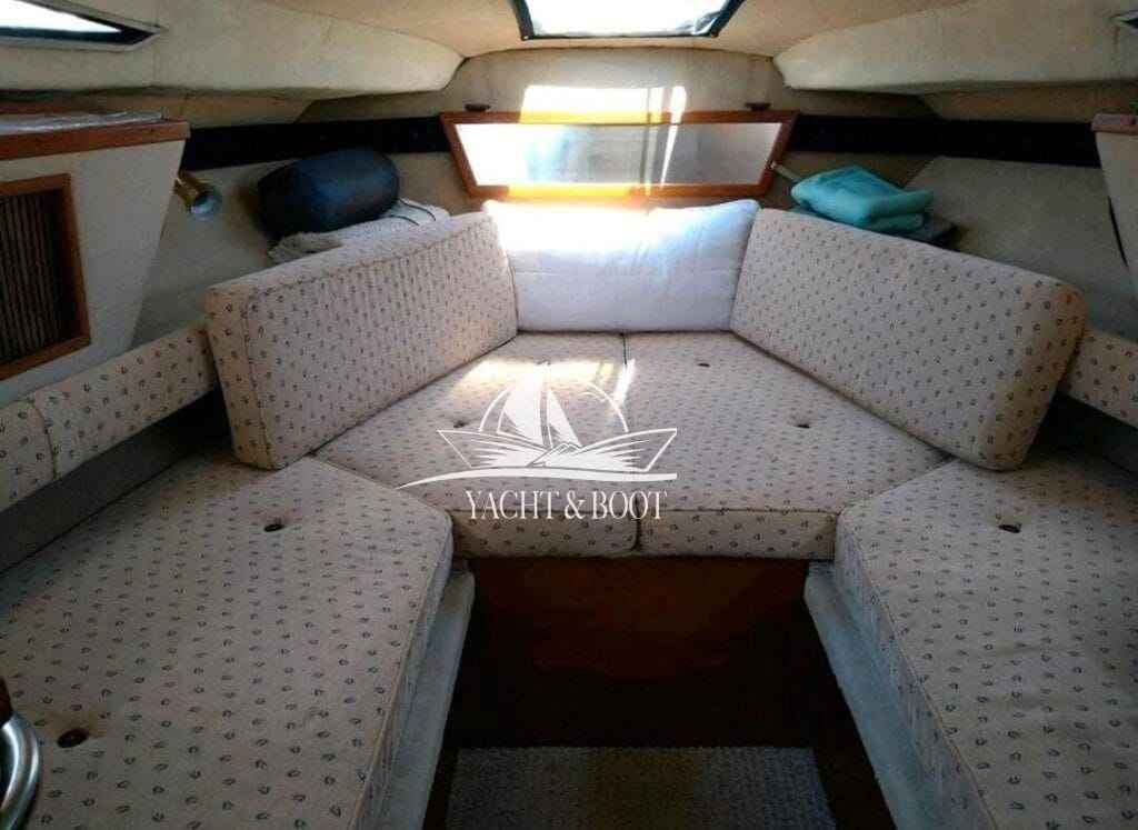 Motorboot Sea Ray 250 DA