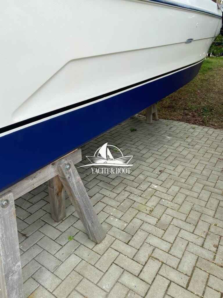 Motorboot Sea Ray 250 DA