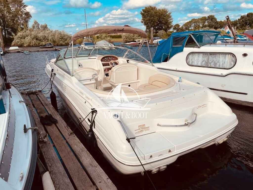 Motorboot Sea Ray 260 Overnight