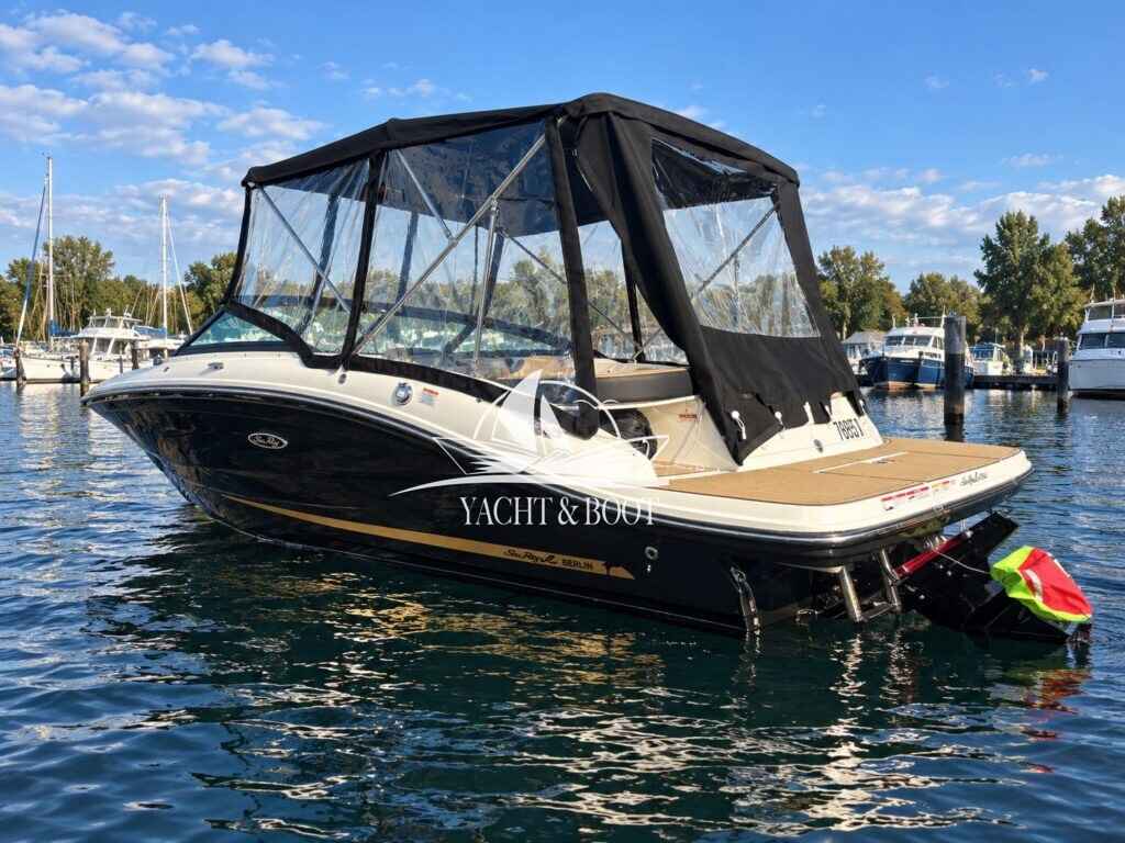 Motorboot Sea Ray 190 SPX